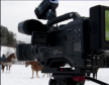 Schne Bunte Filme - P2HD Broadcast Kamera