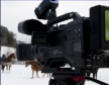 Schöne Bunte Filme - P2HD Broadcast Kamera