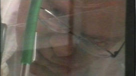 Schöne Bunte Filme - Spielfilm - Geneddon